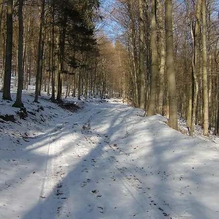 Fliederhof Ferienwohnungen Herresbach Camera foto