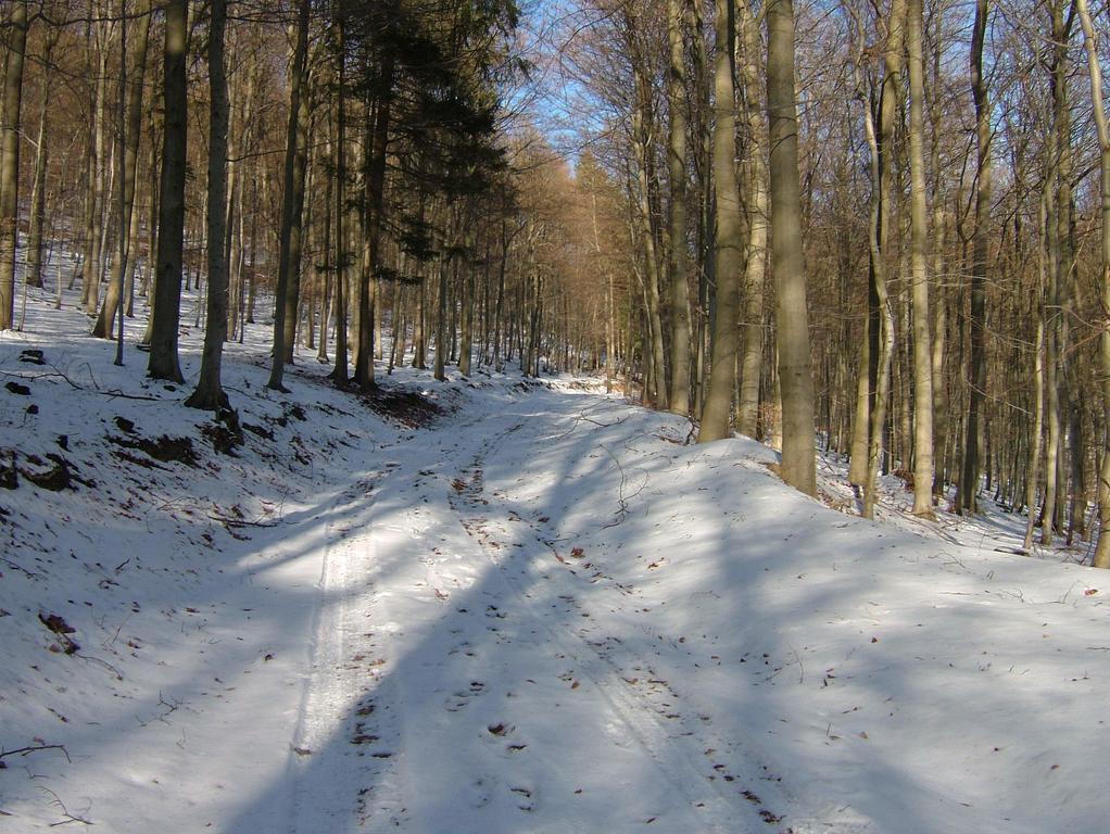 Fliederhof * Herresbach