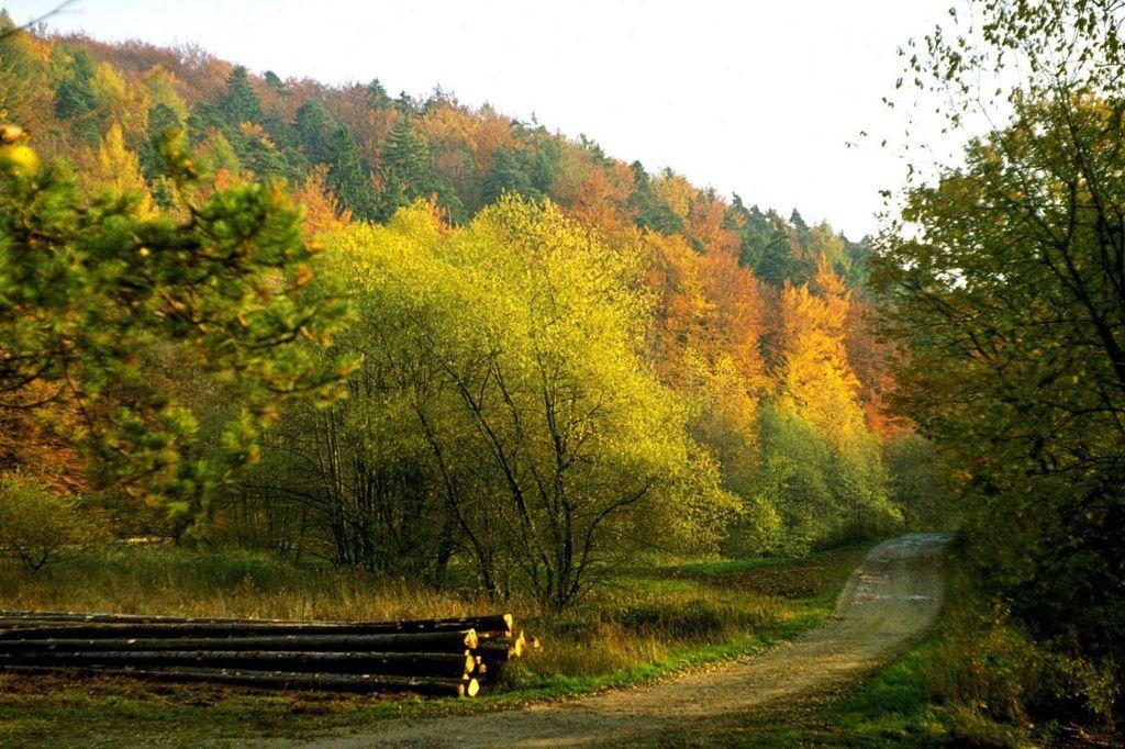 Fliederhof